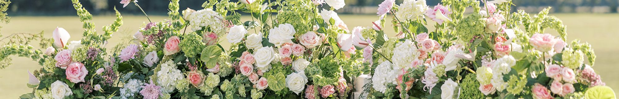 bluestem manor hero image